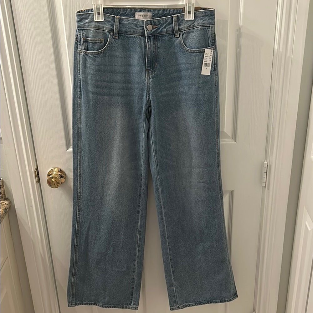 PacSun Casey Low Rise Baggy Wide Leg Style